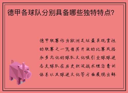 德甲各球队分别具备哪些独特特点？